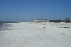 Dauphin-Island-004
