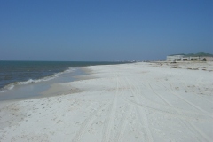 Dauphin-Island-005