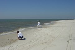 Dauphin-Island-009