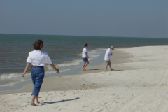 Dauphin-Island-010