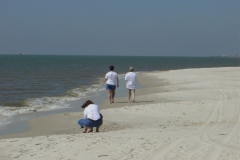 Dauphin-Island-011