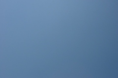 Dauphin-Island-013