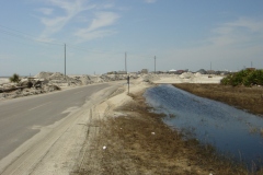 Dauphin-Island-014