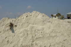 Dauphin-Island-027