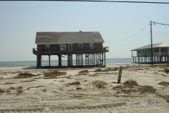 Dauphin-Island-031