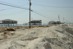 Dauphin-Island-032