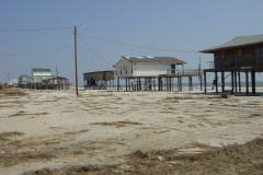 Dauphin-Island-035