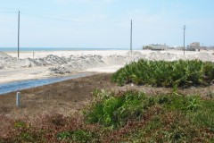 Dauphin-Island-040