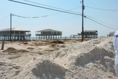 Dauphin-Island-069