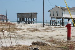 Dauphin-Island-074