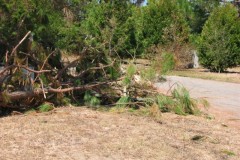 Dauphin-Island-085