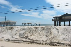 Dauphin-Island-092