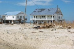 Dauphin-Island-096