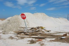 Dauphin-Island-098