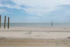 Dauphin-Island-100