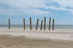 Dauphin-Island-101