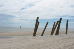Dauphin-Island-103