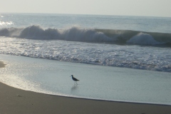 Emerald-Isle-078