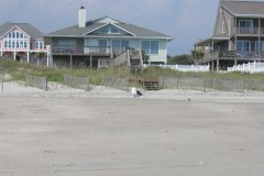 Kays-Pics-006