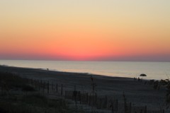 Kays-Pics-051
