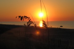 Kays-Pics-061