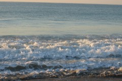 Kays-Pics-065