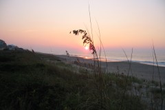 Kays-Pics-074