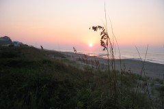 Kays-Pics-076