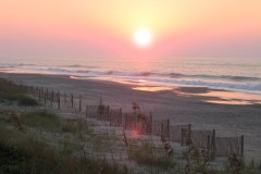 Kays-Pics-078