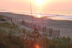 Kays-Pics-082