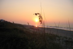 Kays-Pics-084