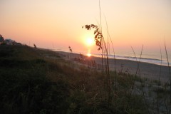 Kays-Pics-085