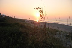 Kays-Pics-086