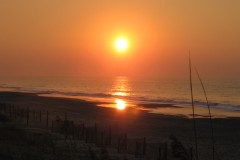 Kays-Pics-091