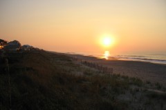 Kays-Pics-097