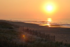 Kays-Pics-098